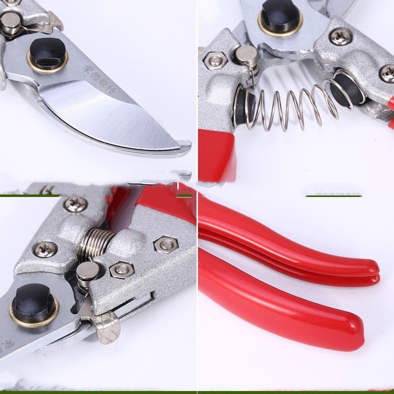 Gardening Scissors Pruning And Fruit Picking - Gardening Land