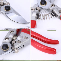 Gardening Scissors Pruning And Fruit Picking - Gardening Land