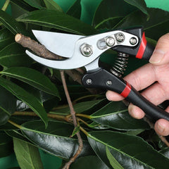 Home Gardening Twig Fruit Tree Flower Scissors - Gardening Land