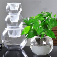 Household plant pots - Gardening Land