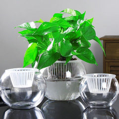 Household plant pots - Gardening Land