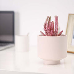 Indoor Succulent Pots Ceramic Planters Garden Flower - Gardening Land
