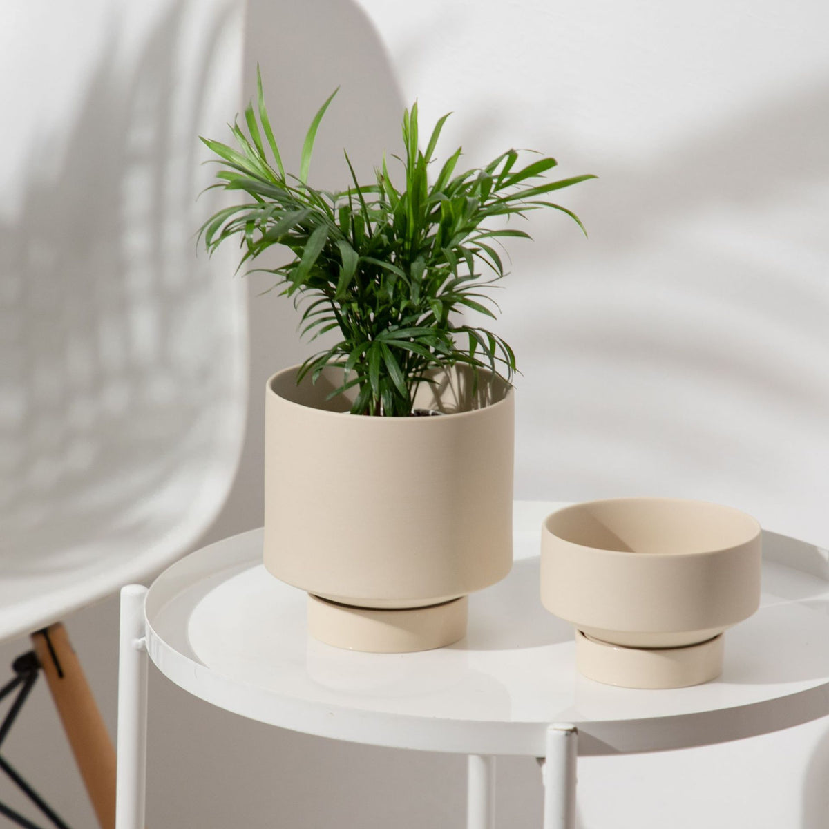 Indoor Succulent Pots Ceramic Planters Garden Flower - Gardening Land