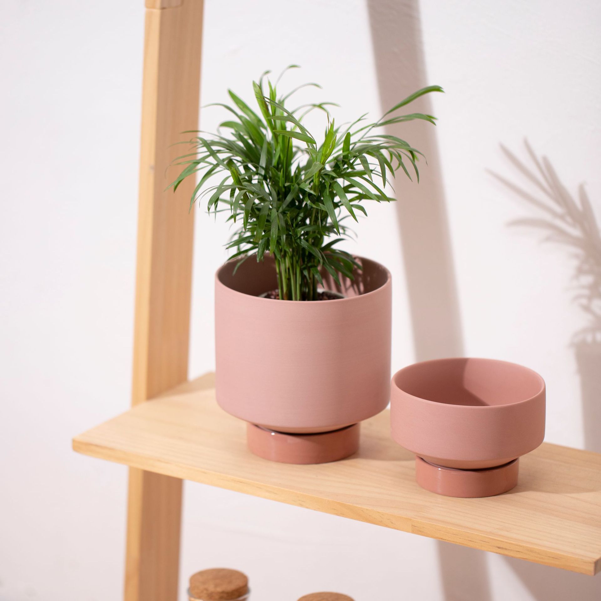 Indoor Succulent Pots Ceramic Planters Garden Flower - Gardening Land
