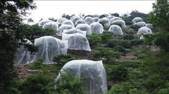 Net Insect Net Fruit Tree Pest Control Plant Protection Cover - Gardening Land