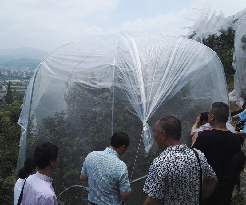 Net Insect Net Fruit Tree Pest Control Plant Protection Cover - Gardening Land