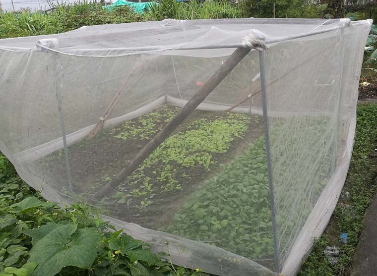 Net Insect Net Fruit Tree Pest Control Plant Protection Cover - Gardening Land