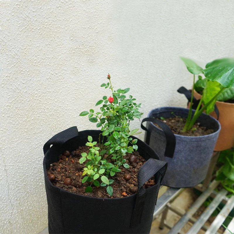 Nutrient plant bag in nursery box - Gardening Land
