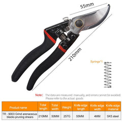 Pruning fruit trees pruning branches garden scissors - Gardening Land