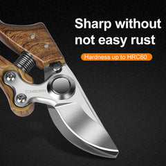 Pruning fruit trees pruning branches garden scissors - Gardening Land