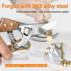 Pruning fruit trees pruning branches garden scissors - Gardening Land