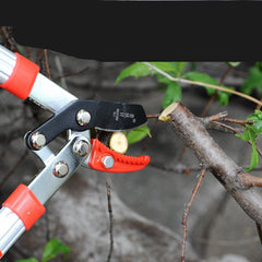 Small Scissors With Aluminum Handle Garden Pruning Garden Tools - Gardening Land