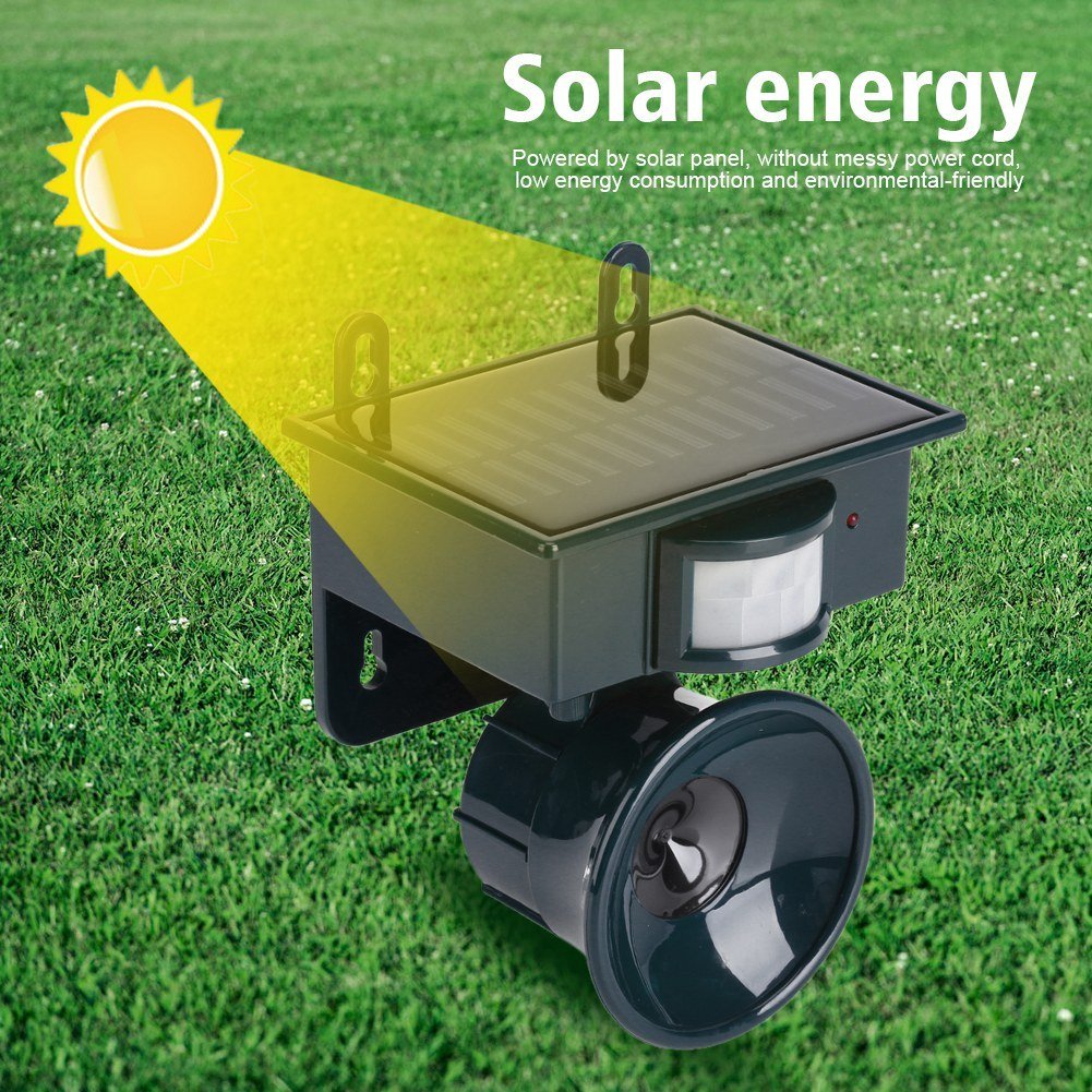 Solar Powered Motion Sensor Ultrasonic Bird Dog Cat Fox Mouse Pest Repeller - Gardening Land