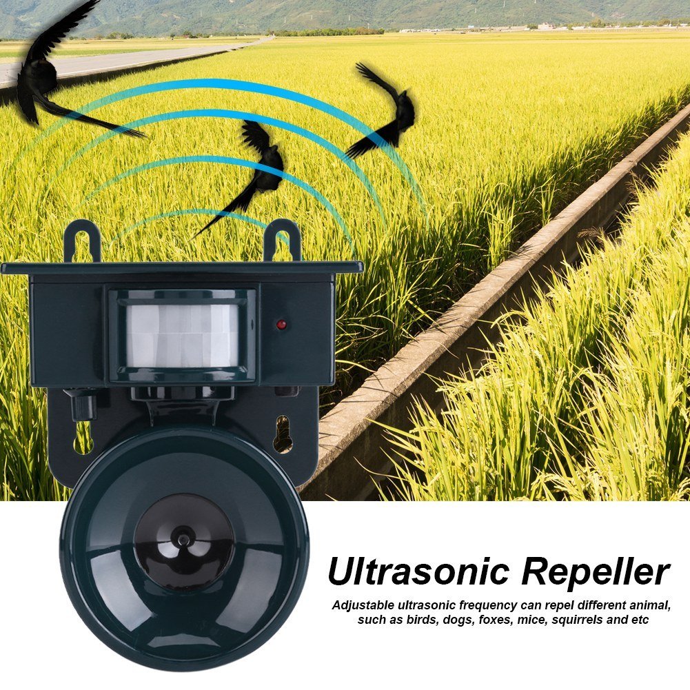 Solar Powered Motion Sensor Ultrasonic Bird Dog Cat Fox Mouse Pest Repeller - Gardening Land