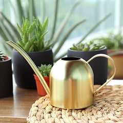 Stainless Steel Watering Can Watering Can Long Mouth Garden Watering Can - Gardening Land