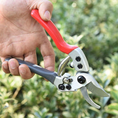 Steel Strong Garden Branch Scissors Multifunctional Household - Gardening Land