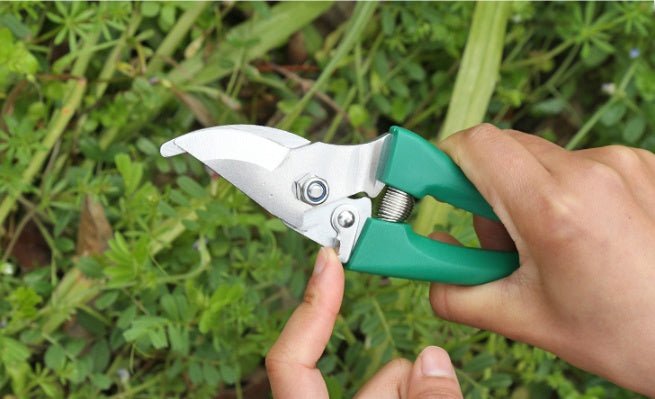 Ten - piece gardening tool set - Gardening Land