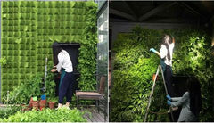 Wall Mount Hanging Planting Bags Home Supplies Multi Pockets DIY Grow Bag Planter Vertical Growing Vegetable Living Garden Bag - Gardening Land